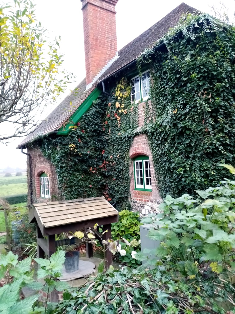 Foxes Oven